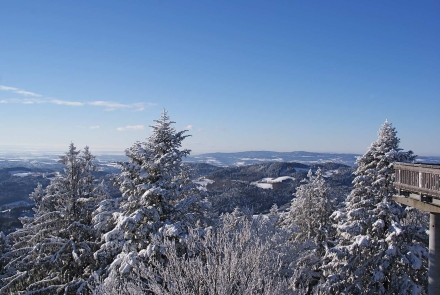 Winterlicher Bayerischer Wald