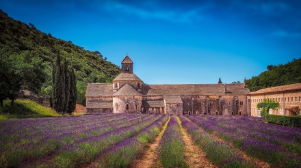 Leuchtende Farben der Provence