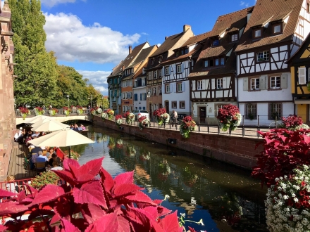 Elsass - Colmar, Weinstraße & Vogesen