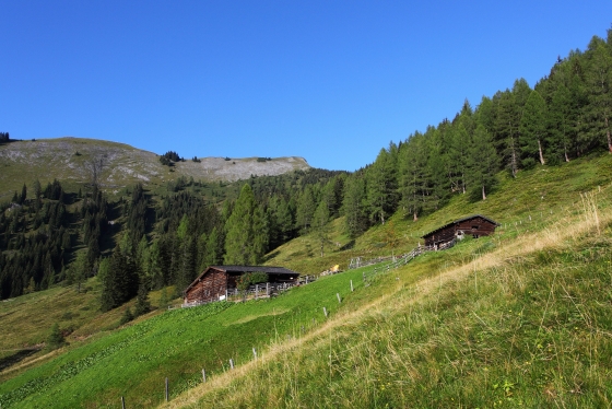 Bild Wandern im Tal der Almen